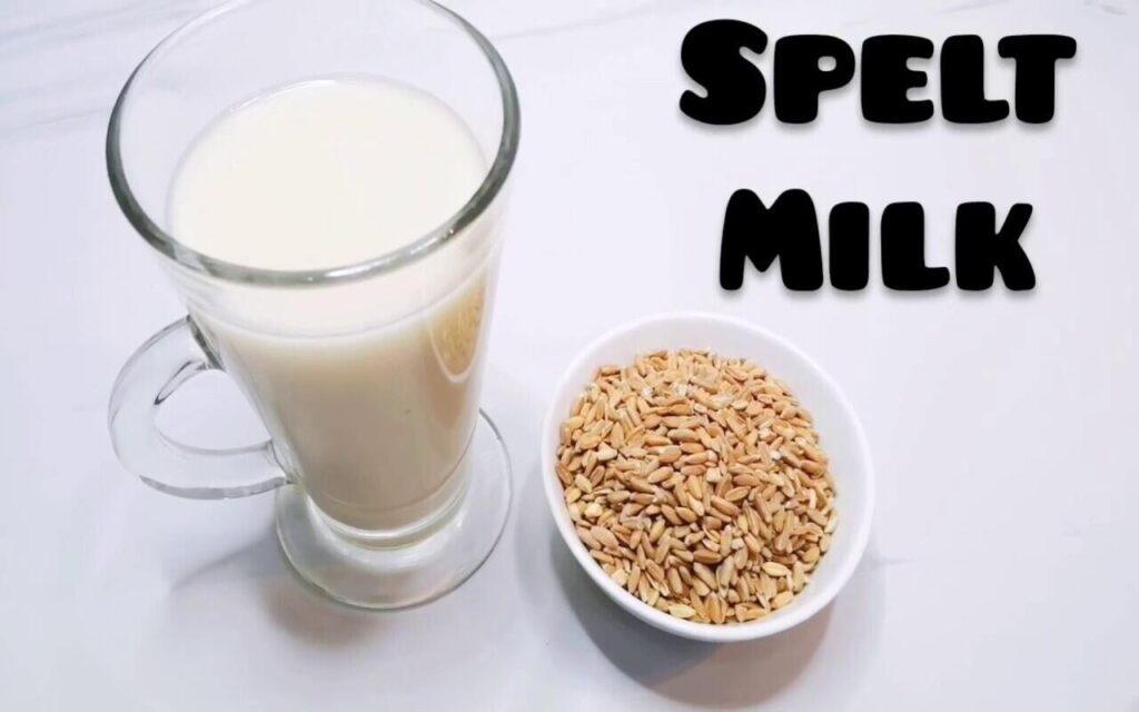 Latte di farro: proprietà, fatto in casa, controindicazioni