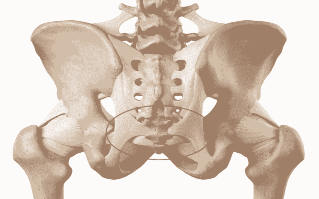 Frattura del coccige: sintomi, durante il parto, conseguenze