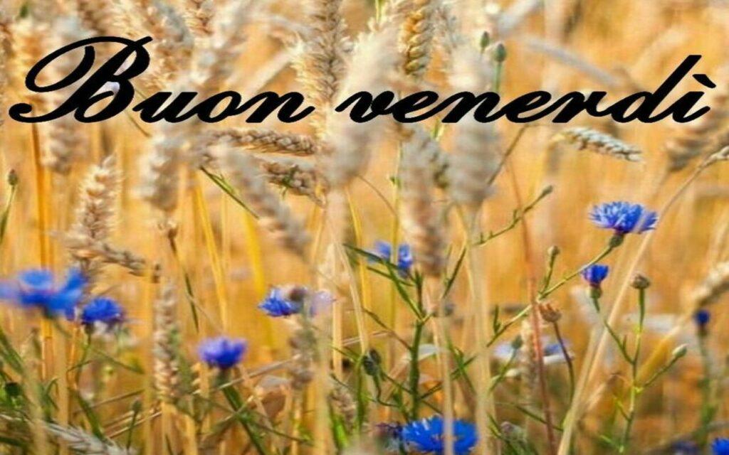 buon venerdì