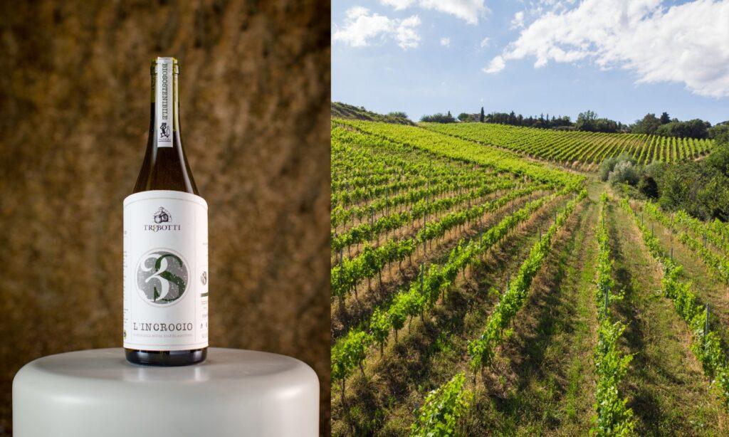 Incrocio Manzoni prezzo, Maschio dei Cavalieri, caratteristiche, opinioni