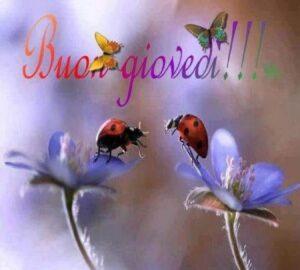 Immagini di Buon Giovedì