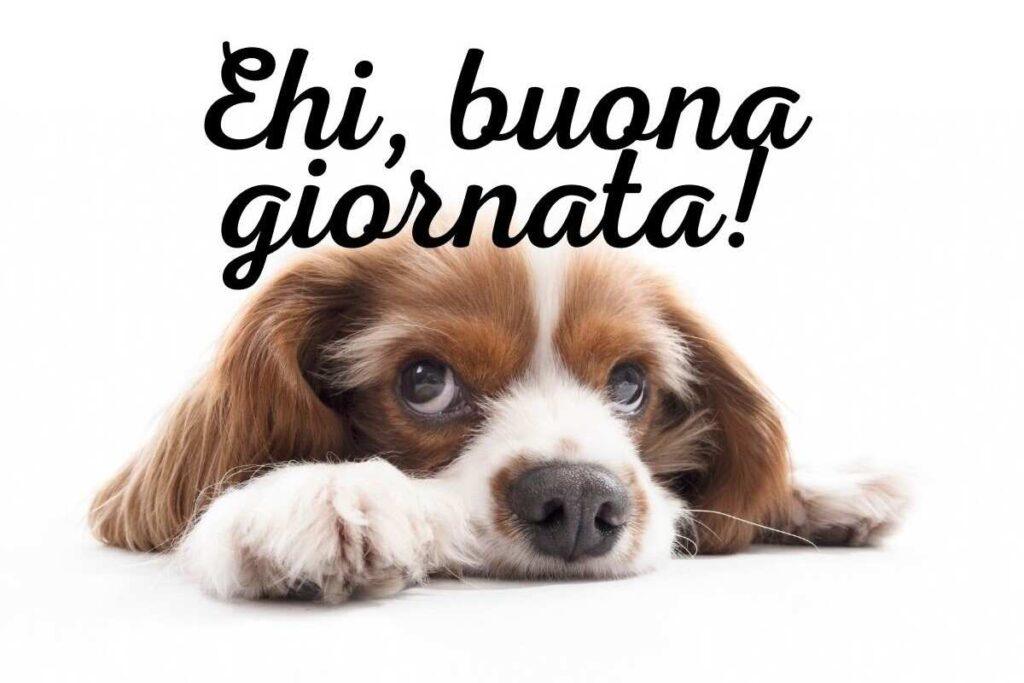 buon giovedì