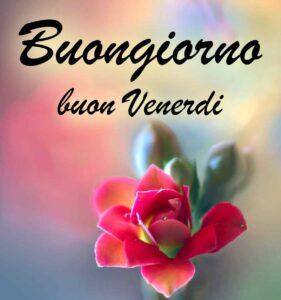 buon venerdì