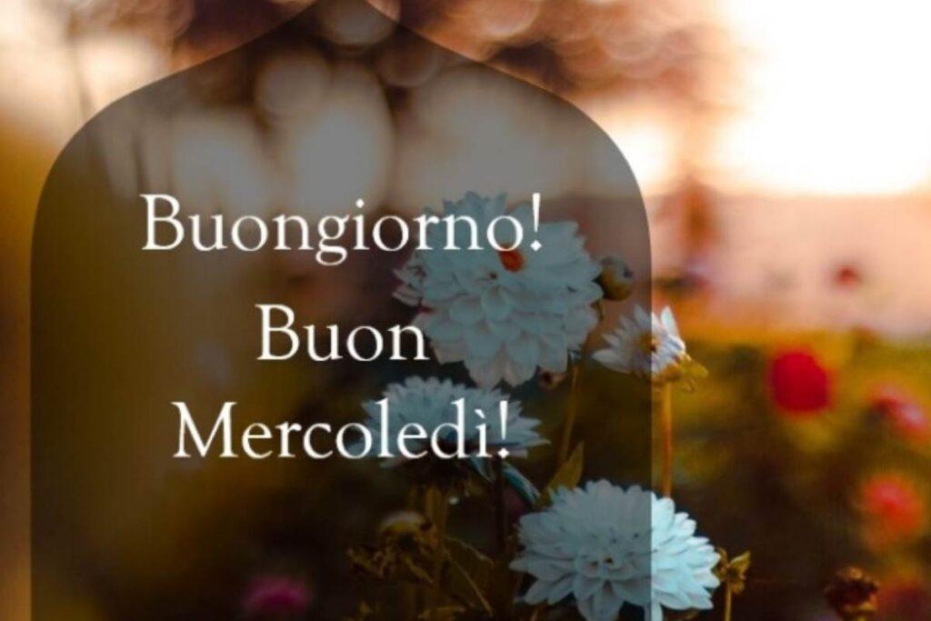 Buon Mercoledì