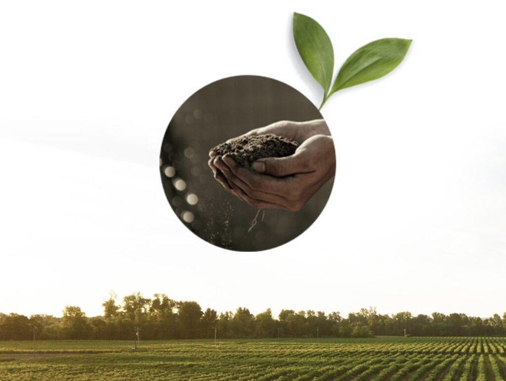 Italpepe: la spezia che racconta lâItalia, anche attraverso le immagini