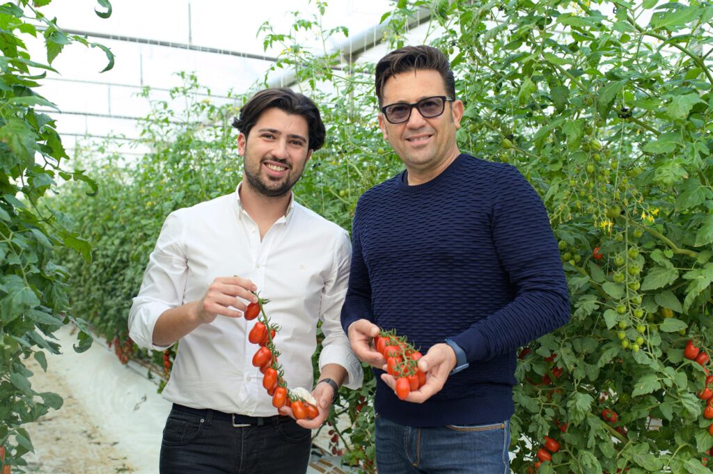 OP Platinum: il gusto del fresco senza nichel