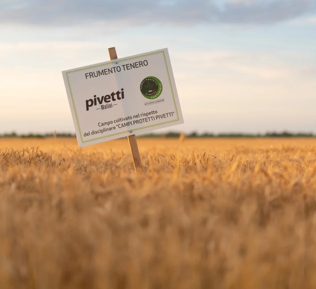 Molini Pivetti: la farina che racconta l’Italia, dal campo alla tavola