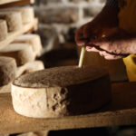 Nelle cantine di Arona, dove il formaggio “cresce”: ritratto di Guffanti